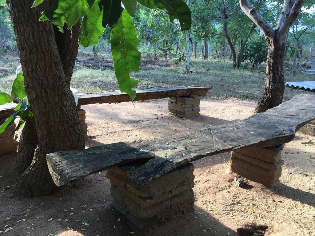 The Summer Corridor - Kataragama Εξωτερικό φωτογραφία