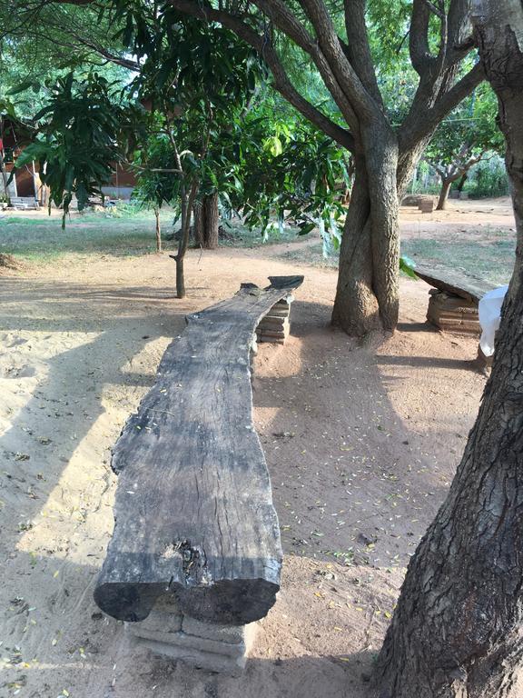 The Summer Corridor - Kataragama Εξωτερικό φωτογραφία